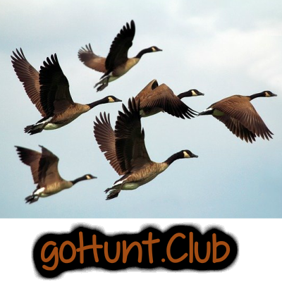 goose-hunting-store